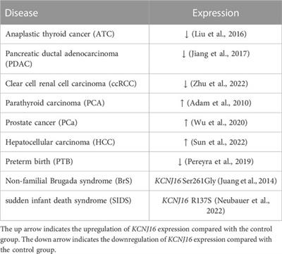 Diverse functions of the inward-rectifying potassium channel Kir5.1 and its relationship with human diseases